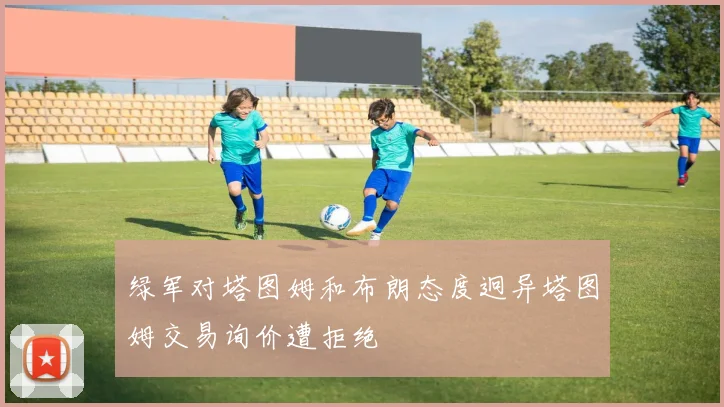 绿军对塔图姆和布朗态度迥异塔图姆交易询价遭拒绝